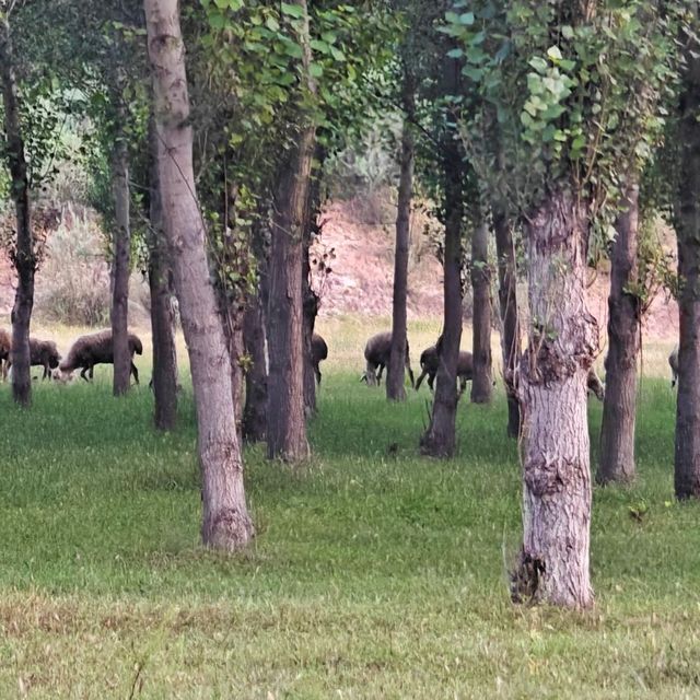 It was a great time in Tongliao a family trip