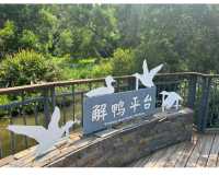終於打卡了深圳最難約的公園！