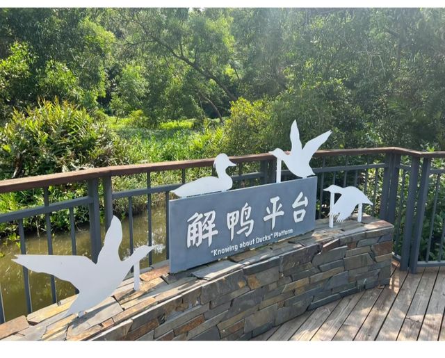 終於打卡了深圳最難約的公園！