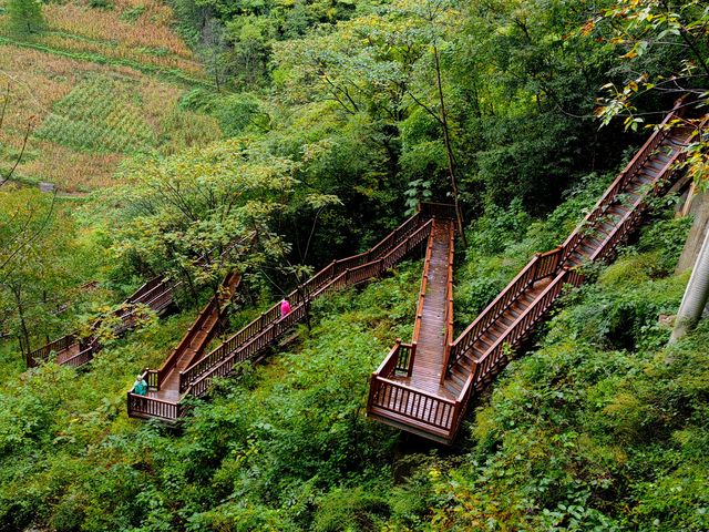 鎮巴—石泉