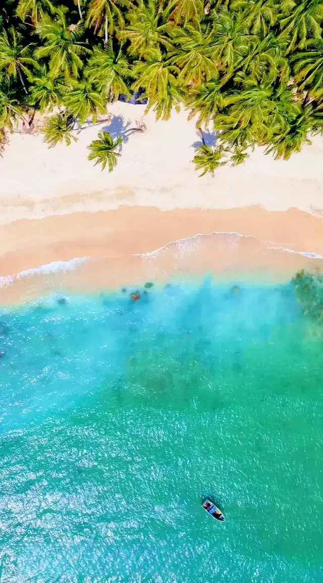 被上帝遺忘了 || 牛奶海