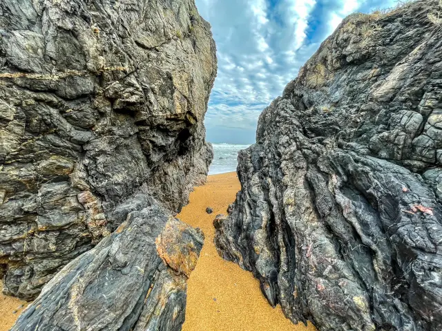 Book a photographer for a photoshoot! 