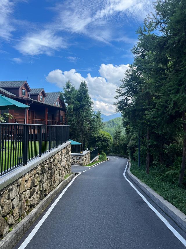 佛山兩日躺平周邊遊-馬頭山森林度假區