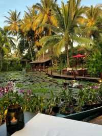 Manda de Laos   ia a perfect way to spend Weekend❤️