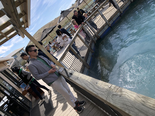 高地鄉村鮭魚，舌尖上的美味享受