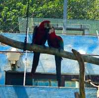 濟南野生動物世界｜與大自然的奇妙約會。