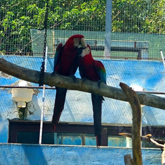 濟南野生動物世界｜與大自然的奇妙約會。