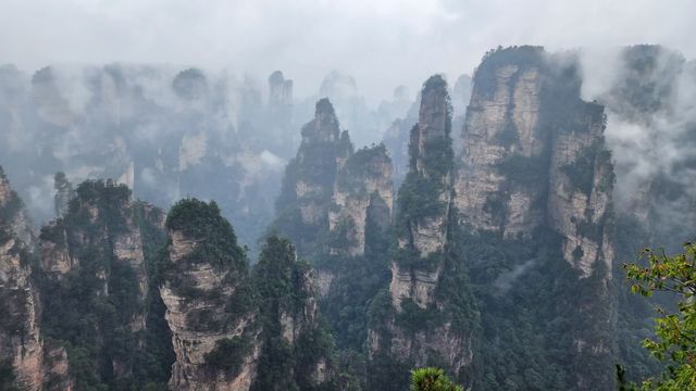 張家界的奇幻之旅:雨幕下的武陵源。