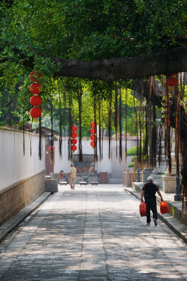 別擠開元寺，清幽雅致的承天寺也值得逛