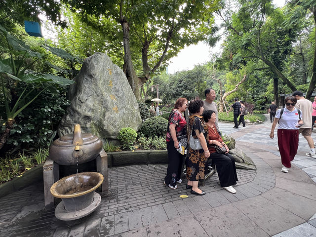 成都的"人民公園"充滿濃厚的市井氣息!