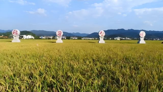 安仁稻田公園旅遊攻略。