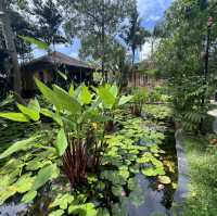 Tides & Treasures: A Phuket Adventure