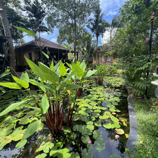 Tides & Treasures: A Phuket Adventure