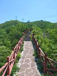 西部長青遊山玩水。