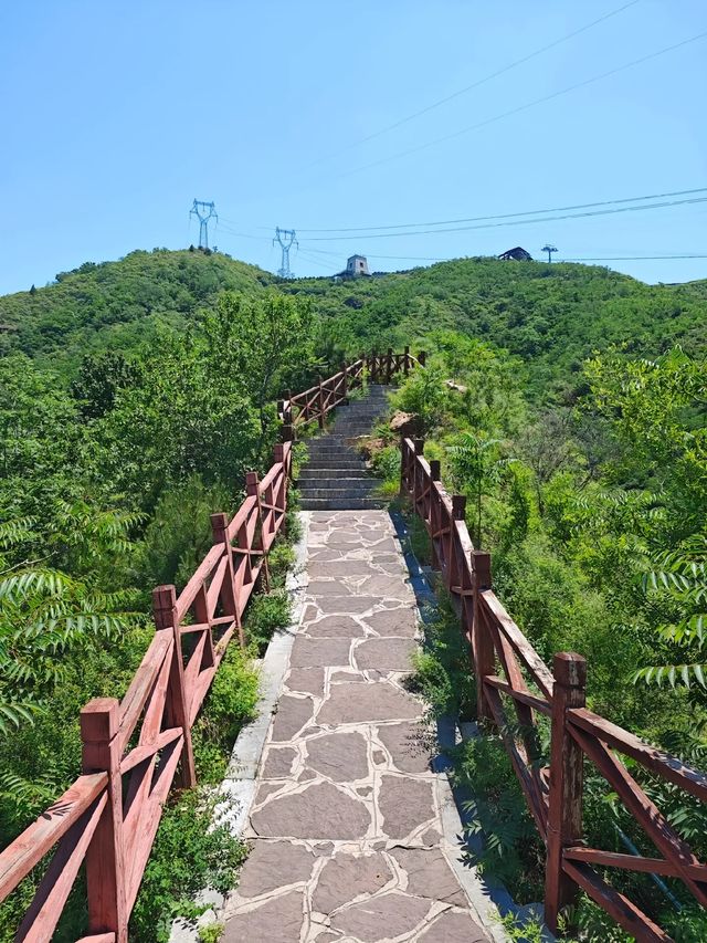 西部長青遊山玩水。