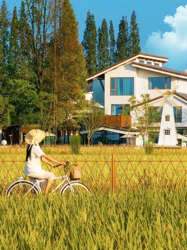 成都附近青神竟藏着這麼美的稻田民宿。