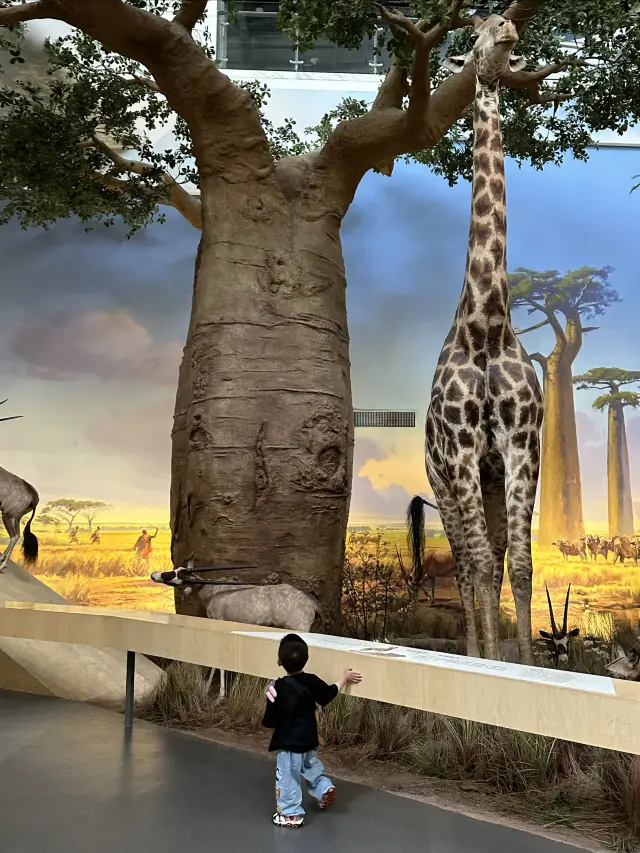 Wuhan Natural History Museum - another great place to take the kids. 