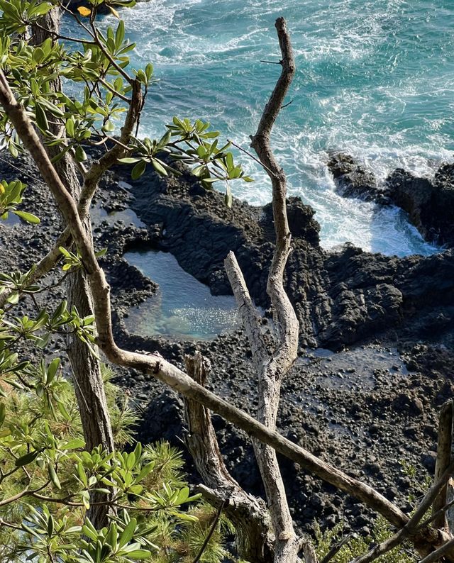 伊豆不止大室山！南伊豆的海美到失語…。
🌊在南伊豆被湛藍色大海治癒的一天！