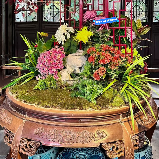 Exploring Suzhou's Treasures: Humble Administrator's and Lingering Gardens 