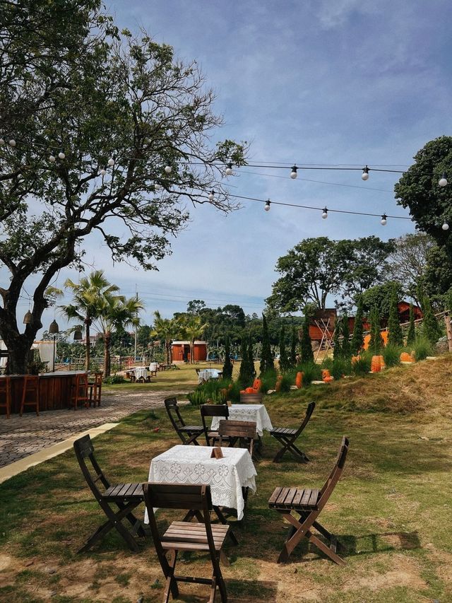 廣州增城非常 Chill 的南法莊園。