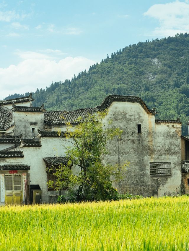 皖南秋日騎進一座真正安靜原始的古村落。