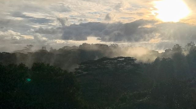 斯里蘭卡印象。