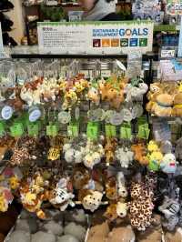 Nagoya | Visit Capybaras, but Management Says They're Gone