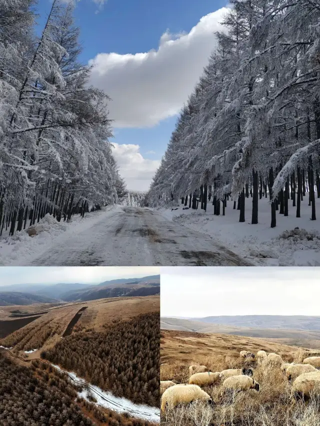 A winter trip to Inner Mongolia is a chance to encounter stunning scenery. 