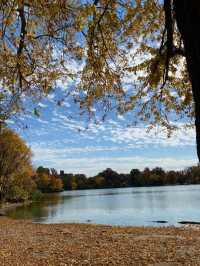 Autumn is the most beautiful season!! 