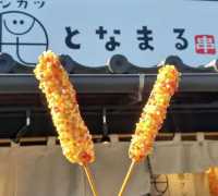 Departing from Nagoya: Inuyama and Seto One-Day Private Car Tour