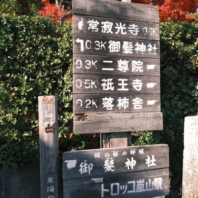 京都 ｜紅葉濃度最盛 絕美的嵐山路線