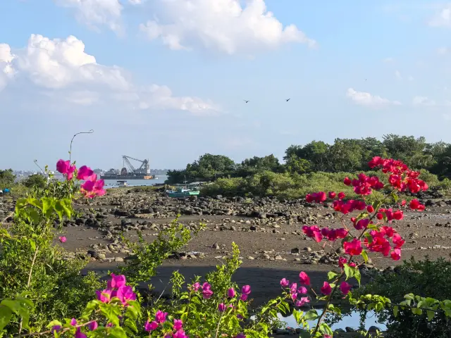 국가 중점 문화재 보호 단위 - 양푸 염전.