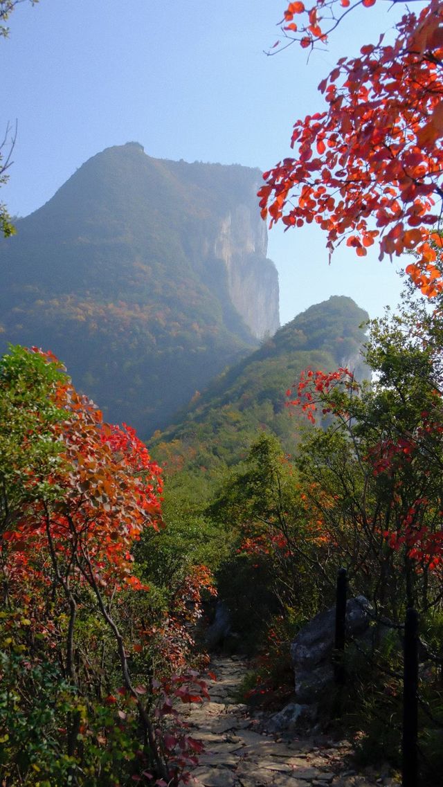 三峽之巔輕鬆拿捏。