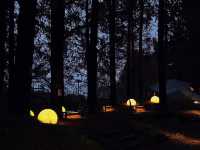 Experience Autumn in a Fairytale