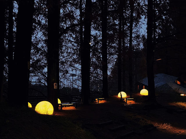 Experience Autumn in a Fairytale