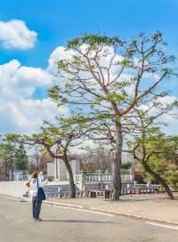 韓國京畿道小眾路線 citywalk 一日遊！超好玩