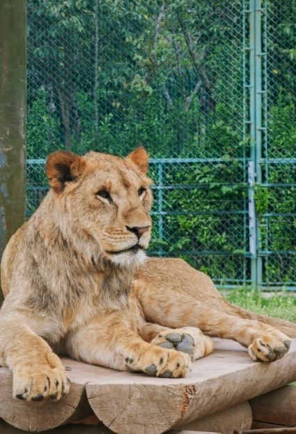 薩爾布呂肯：動物園