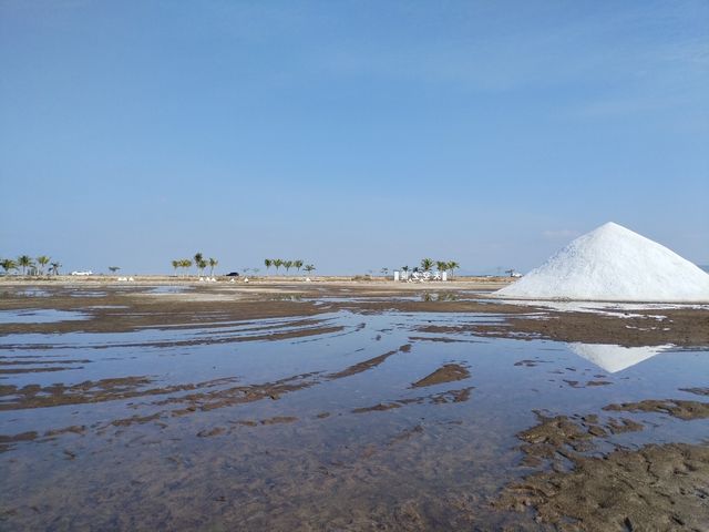 環島旅行——鶯歌海鹽場