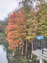 廣州麓湖公園