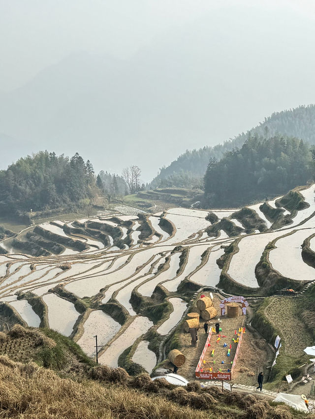 美到令人讚嘆的雲和梯田在浙江麗水