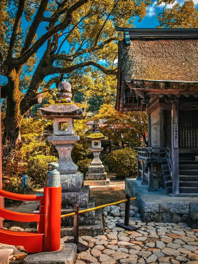6-Day Japan Tour: Hot Springs You Won't Regret