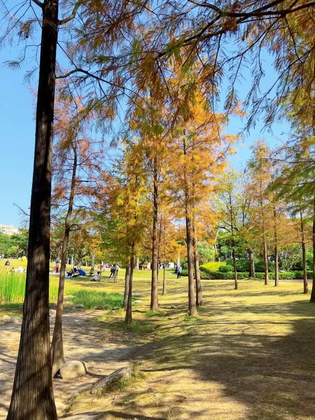 深圳香蜜公園