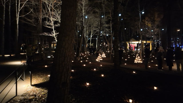 Karuizawa Highland Church Christmas Illumination Requires Advance Reservation