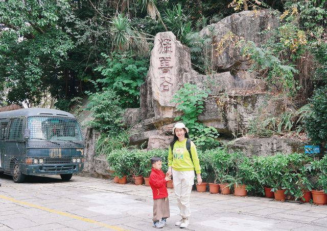 冬日暖陽下的奇妙之旅！深圳野生動物園攻略