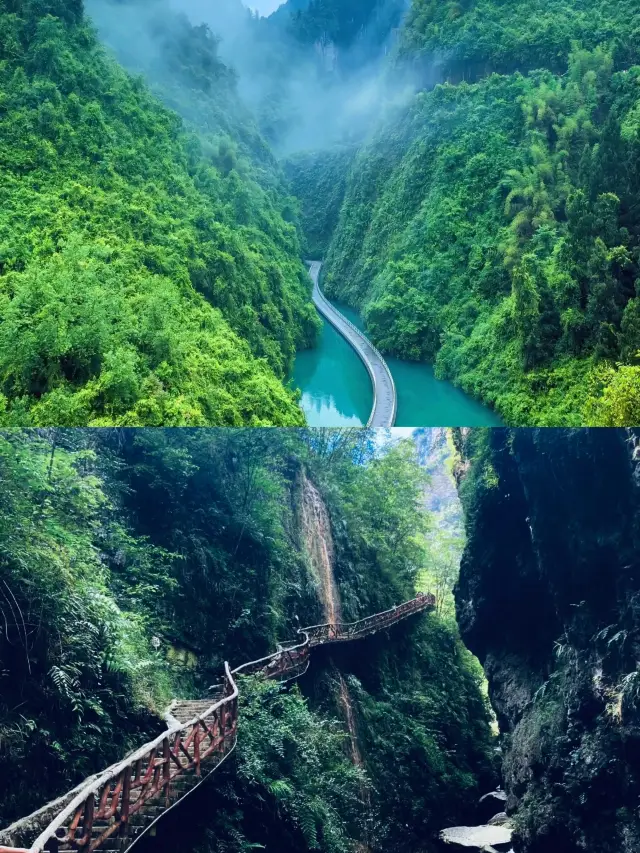 Enshi is affordable, and happiness is free!