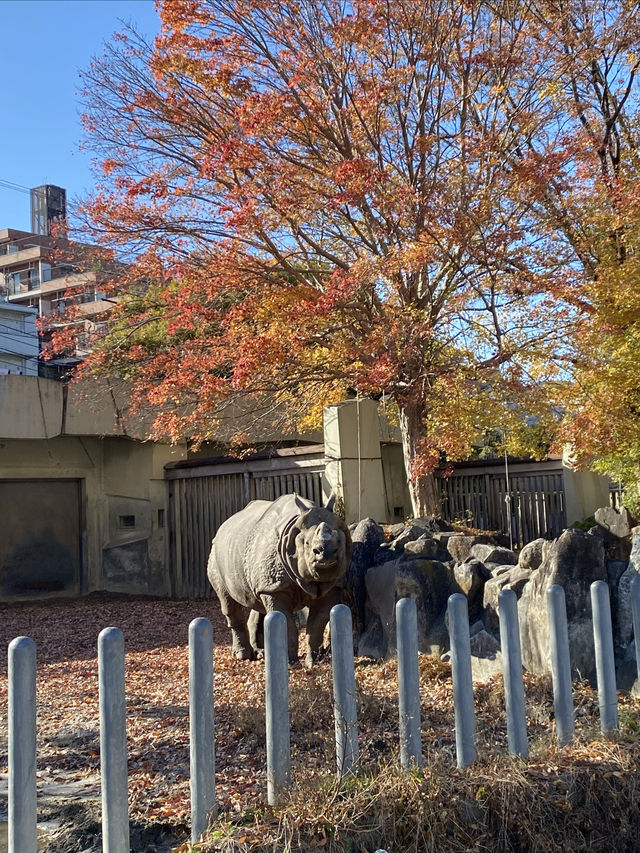 名古屋動物園的冬日暖陽