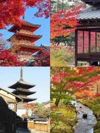 對馬市旅遊攻略：探索日本的隱秘寶藏