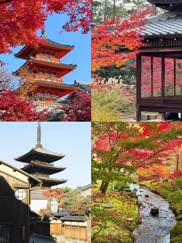 對馬市旅遊攻略：探索日本的隱秘寶藏