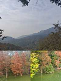 圭峰山：半城煙火半城仙的人間仙境