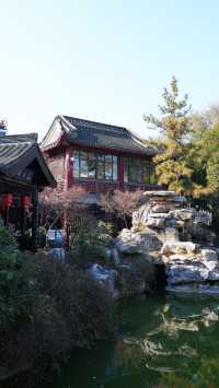 泰州旅遊攻略別錯過這座免費的絕美園林